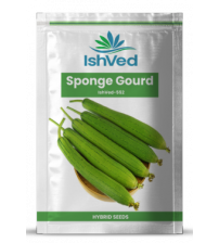 SpongeGourd / Galki IVSGH-552 50 grams